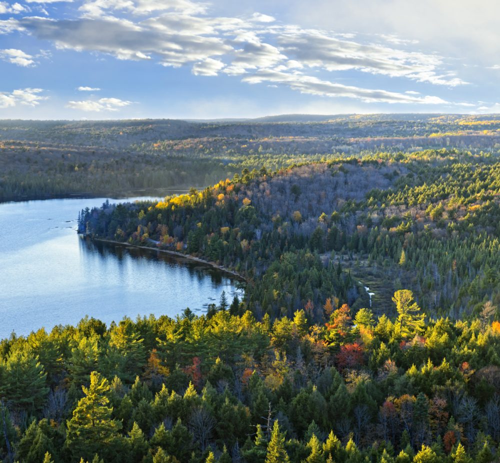 2178981-fall-forest-and-lake-top-view